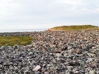 Никольская — Пежостров — Сидоров: белухи, мелко в отлив между Кишкиным и Керетью