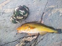 Путешествие по Чупе: фото не передают и десятой доли увиденного