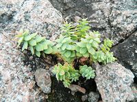 Путешествие по Чупе: фото не передают и десятой доли увиденного