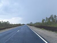 Обочины и «мясорубка»: как экскаватор валит кусты и щепу льёт