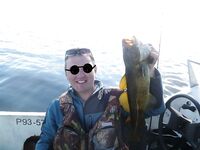 Северодвинск и Пертоминск: треска в 40 км от города, Чупа — сравнение по годам