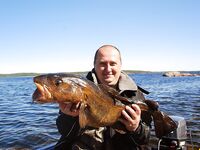 Крупняк против мелочи: у вас солидно, у нас дёрг мелкий