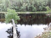 Белое море, Карелия: Чупа — Чкаловские острова, короткая отметка без деталей