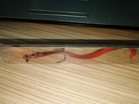 Шторм на Баренцево — свернули в Чкаловский: пилькеры гиганты и вопрос про поролон