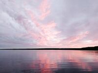 Белое море, Карелия: медведей видели трижды, у дороги снимали из окна