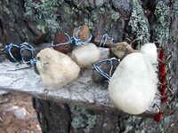 Белое море, Карелия: немного фото с поездки для оживления темы