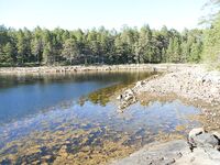 Морская рыбалка на Белом море в Карелии: летние фото, август и планы по озёрам