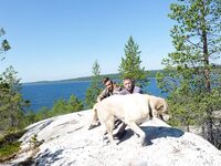 Морская рыбалка на Белом море в Карелии: летние фото, август и планы по озёрам