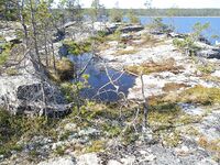 Морская рыбалка на Белом море в Карелии: летние фото, август и планы по озёрам