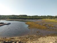 Честный отчёт: клев слабый, но трофеи были — база, егеря, еда