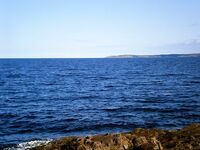 Морошка по 510, голубика гнилая — фото Шарапихи с Пежострова