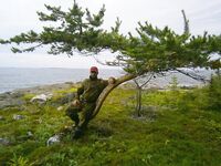 Мыс Красный — гадюки в сапогах, в кроссовках не геройствуем