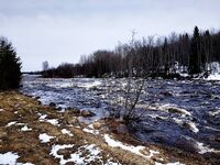 Керетьский порог Морской: лёд ушёл, река полноводная