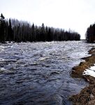 Керетьский порог Морской: лёд ушёл, река полноводная