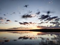 Высокая вода на озере рядом: сети сожгли, рыбу отпустили