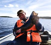 Двинские луды и Лодейная губа: штиль, жара и ведра трески