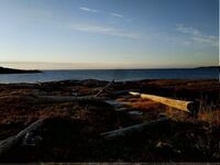 Двинские луды и Лодейная губа: штиль, жара и ведра трески