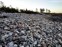 Белое море — мечта строителя с юга и северная солёная правда