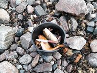 Белое море — Чупа Чкаловский: много вопросов в губе и мало ответов