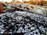 Итог без деталей: тема активна, но фактуры по уловам нет — ждём дополняшки