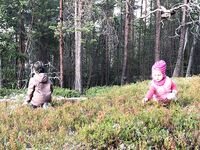 С детьми и жёнами: Белое море зашло всем — опыт положительный