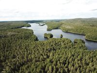 Чупа через «Аурелию»: по треске «голяк», бонус — щука 4.800 на озере