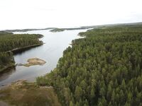 Чупа через «Аурелию»: по треске «голяк», бонус — щука 4.800 на озере