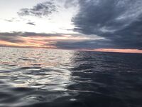 Чупа через «Аурелию»: по треске «голяк», бонус — щука 4.800 на озере