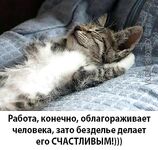 «Ждать и надеяться»: короткая пауза перед следующим окном погоды