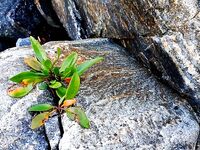 Ветер «писец», 18-ка не тянет: доскакали до стоянки Валентина, рыбы ведро