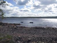 Сидоров, Никольская, Шарапиха: зубатка эпизодом, треска — два вечера