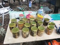 Сидоров, Никольская, Шарапиха: зубатка эпизодом, треска — два вечера