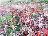 Чупа - Чкаловский - острова: уточняем точки стоянок и слипы по маршруту