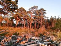 Старт из Чупы и две лодки: Беломорканал, Лысуха, ночёвка в Медвежьегорске, Чупа
