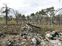 Старт из Чупы и две лодки: Беломорканал, Лысуха, ночёвка в Медвежьегорске, Чупа