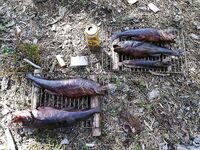 «В такую погоду волнам не верь»: к Соколке не пошли, ламинария, мидии и ягоды