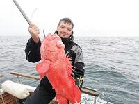 Трофей «редкая скотина»: вкус подтвердили, вид не уточняли — и ладно