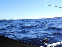 За Боршовцом по ветру: дрейф на силиконе, 5–20 м и капуста мельче пяти