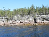 За Боршовцом по ветру: дрейф на силиконе, 5–20 м и капуста мельче пяти