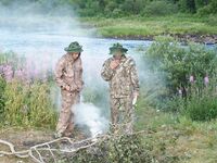 Июль 2018, жара: купание каждый день, треска, мидии и щенкам ищут дом