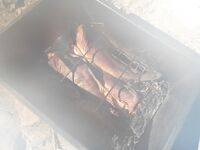 Июль 2018, жара: купание каждый день, треска, мидии и щенкам ищут дом