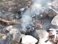 Июль 2018, жара: купание каждый день, треска, мидии и щенкам ищут дом