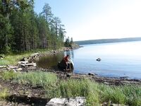 Выбор лагеря: пляж Пежострова или тишина Боршовца — вода, эвакуация и ветер