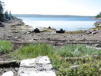 Выбор лагеря: пляж Пежострова или тишина Боршовца — вода, эвакуация и ветер