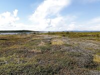 Карелия не парная, а парИлка: полевая баня, кругосветка по Пежу, Киврей и Луды