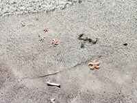 Дорога домой через Кивач и Гирвас: короткие остановки, баня и Москва к вечеру