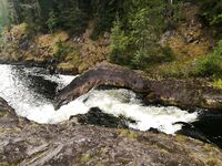 Дорога домой через Кивач и Гирвас: короткие остановки, баня и Москва к вечеру