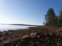 Рассветы — благодать: ради этого встаём рано и выходим в окно по ветру