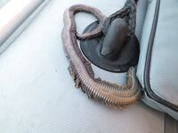 Выполз нереиса в июне 2014 — рыба капризила, но немного взяли