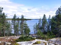 Чупанда, мыс Кузокоцкий: зубатка приоритет до 3 кг, горбуши валом — на проверки не пошёл